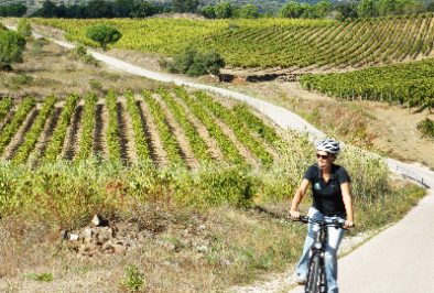Cycling between the wineyards of the Emporda